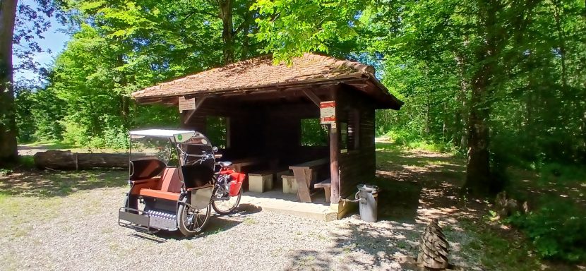 Hütte im Eckenbergwald